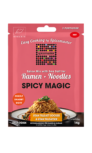 Ramen-Noodles---Spicy-Magic